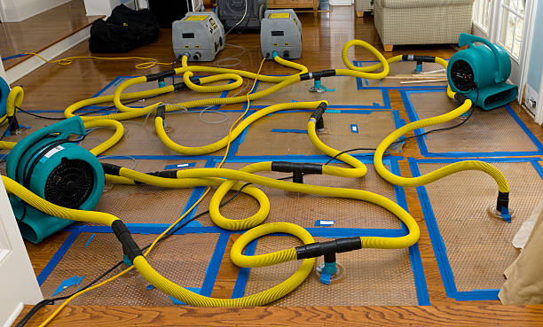 Professional Structural Drying And Dehumidification technician working in Nashville, AR